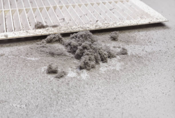 Best Ductwork Cleaning Services  in Cut Off, LA