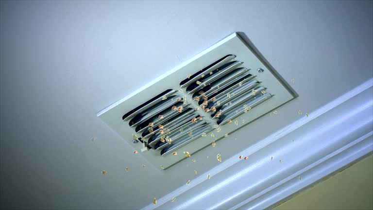 Best Best Air Duct Cleaning Near Me  in Cut Off, LA