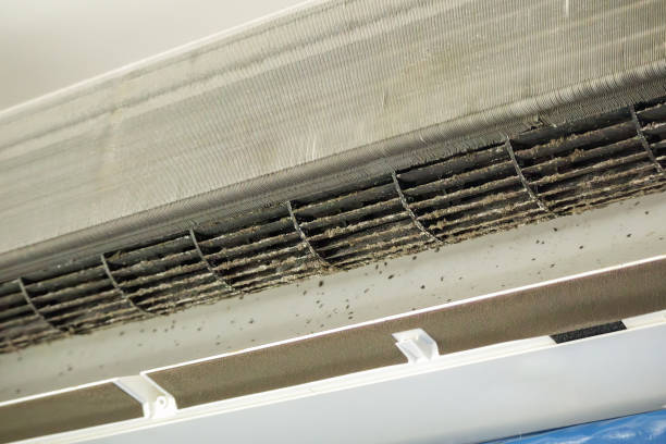 Best Affordable Air Duct Cleaning  in Cut Off, LA