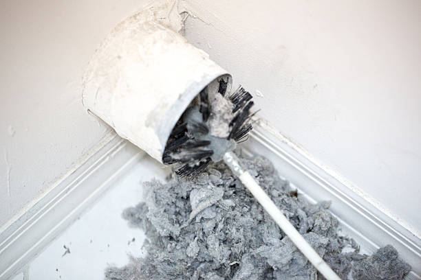 Best Ventilation Cleaning Services  in Cut Off, LA